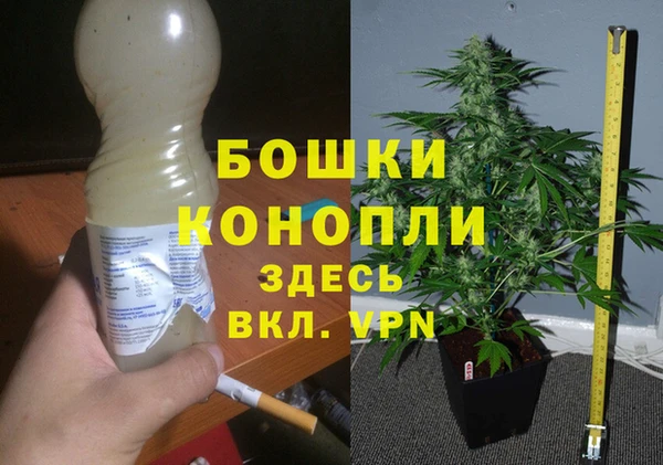 ГАЛЛЮЦИНОГЕННЫЕ ГРИБЫ Бронницы