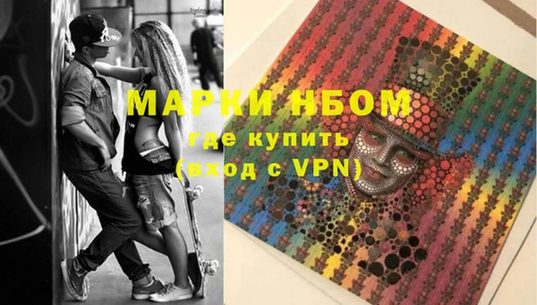 ECSTASY Богданович