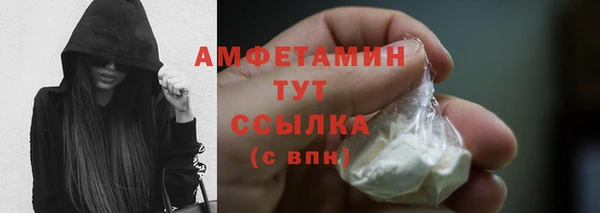 прущие грибы Бугульма