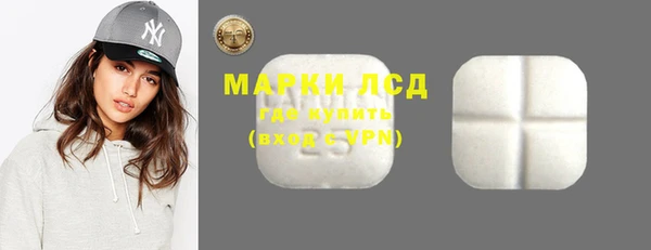 ECSTASY Богданович