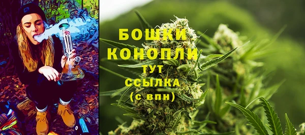 прущие грибы Бугульма