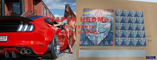 прущие грибы Бугульма