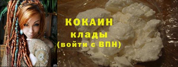 ECSTASY Богданович