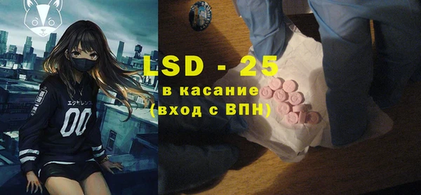 ECSTASY Богданович