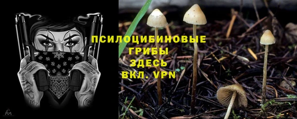 кокаин перу Бородино