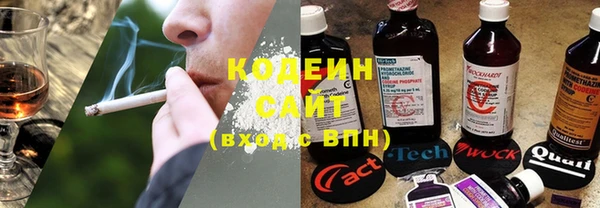 ECSTASY Богданович