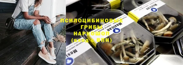 прущие грибы Бугульма